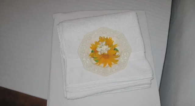 Двухместный номер Standard Miheen Hotel & Resort - Anuradhapura