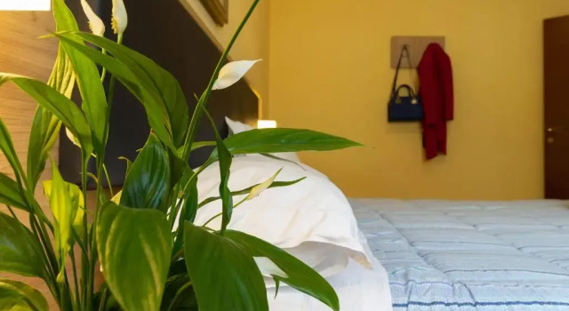 La Pineta - Le Casette di Osvaldo, Prenota Hotel Hotel a Como con parcheggio, Parcheggio