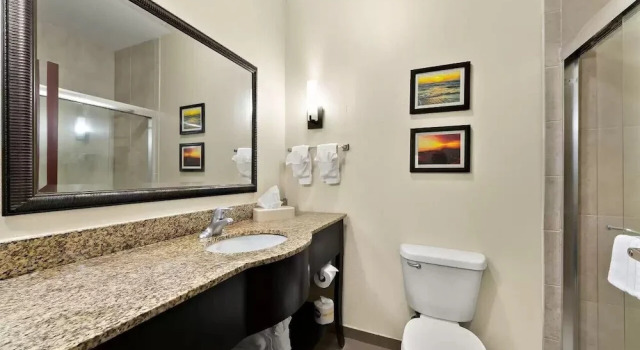 Двухместный люкс с балконом Comfort Suites Corpus Christi Central