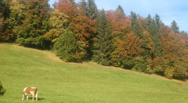 Люкс App. Seeblick Top of Interlaken