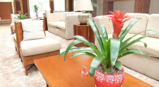 Anybay, Book Hotel 3-Star Hotels in Siming, 3*
