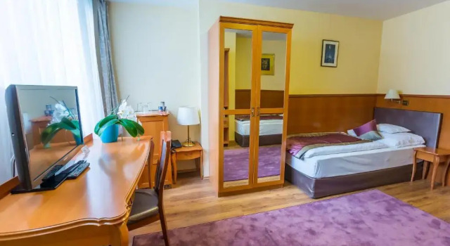 Двухместный номер Standard Pannonia Hotel