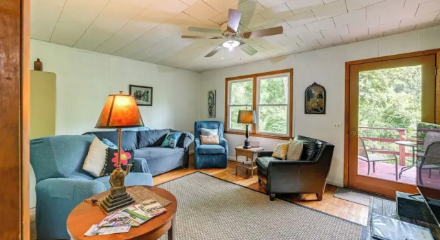 Affordable, Artsy, Unique! Blue Ridge Mtn-view Gem, Забронировать Дом для отпуска Виллы Роббинсвилл, Вилла