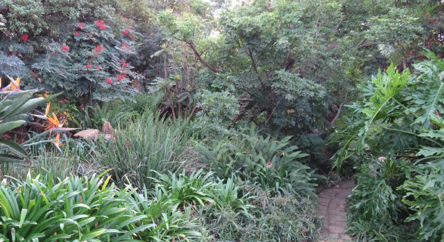 Green Pascua Guesthouse, Κράτηση Ξενοδοχείο Roodepoort Γκαουτένγκ