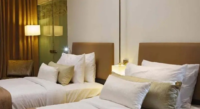 Двухместный номер Deluxe Hotel President