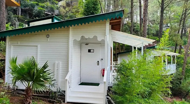 Номер Superior Kasauli Hills Resort