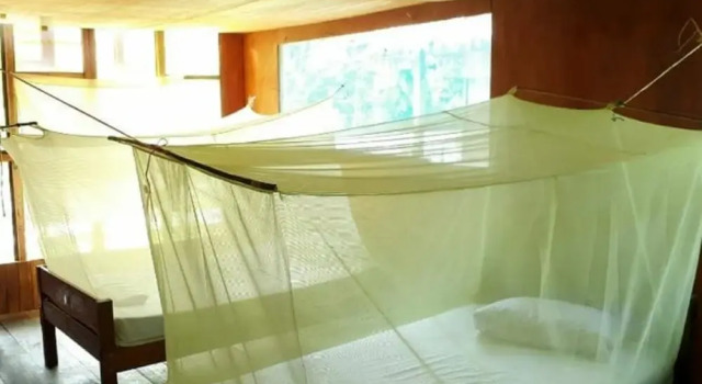 Двухместное бунгало My Amazon Lodge