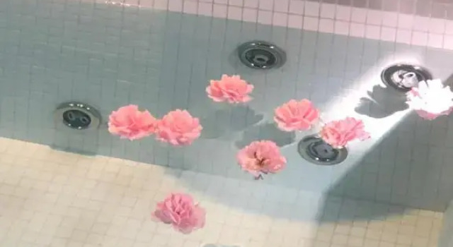 Люкс Deluxe Spa campagne design