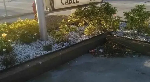 Reno Motel, 预订 汽车旅馆 匹尔斯堡海岸 佛罗里达州