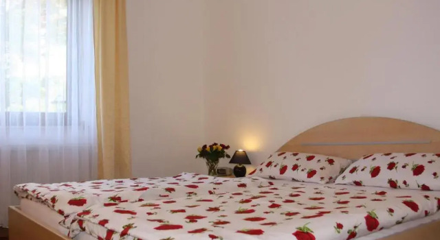 Номер Standard Hotel Haus Salzberg garni