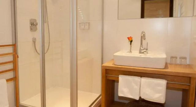 Номер Standard Gasthof-Hotel Dannerwirt
