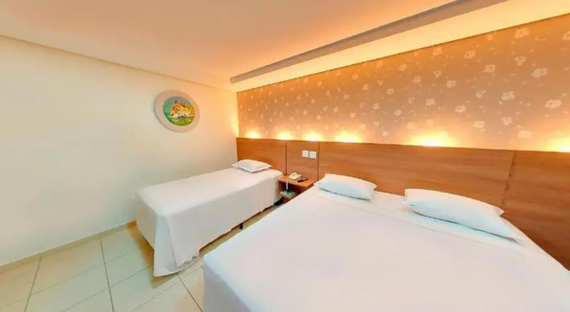 Двухместный номер Deluxe Amazon Plaza Hotel