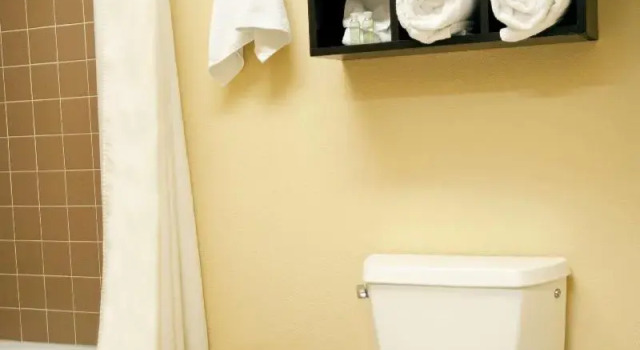 Номер Standard Best Western Plus Forest Park Inn
