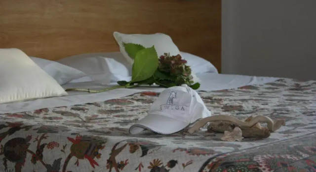 Номер Standard B&B Ortensia