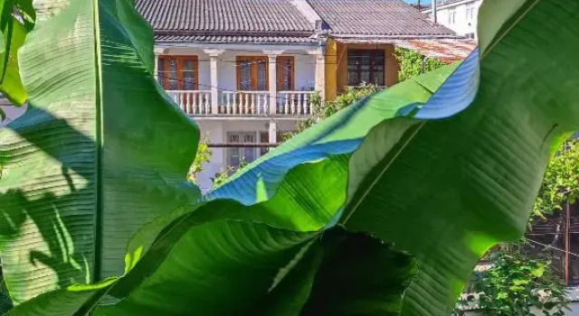 Номер Deluxe Friendly Guest House