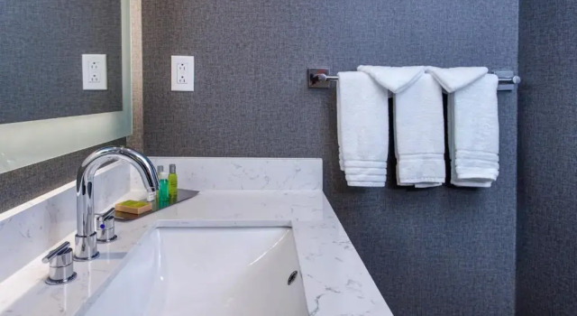 Suite junior DoubleTree by Hilton Appleton, WI