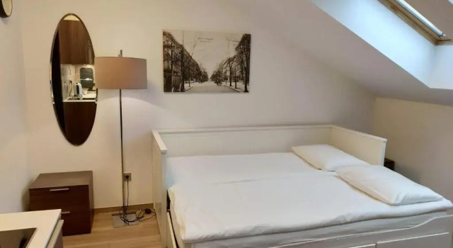 Студия VINOHRADSKY DUM Residence