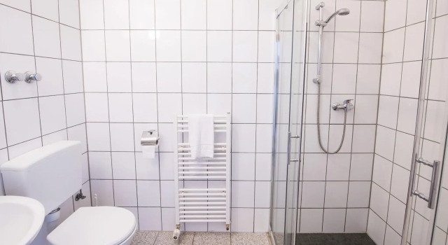 Двухместный номер Standard Hotel Bergheim