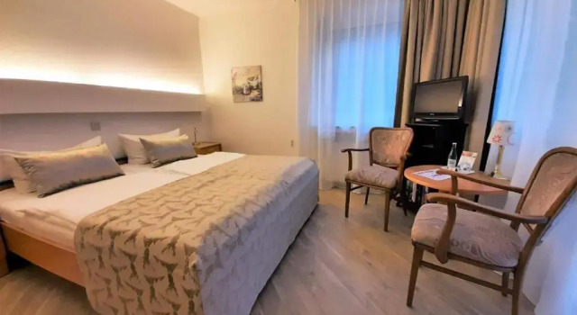 Двухместный номер Standard с балконом Harz hotel Iris