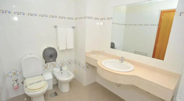 Habitación doble Estándar Hotel Salgueiro