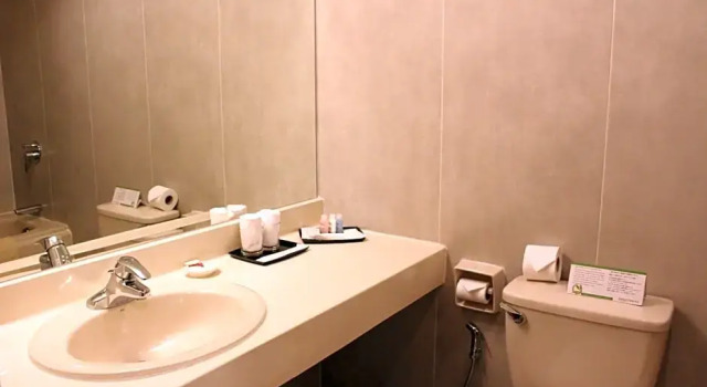 Одноместный номер Premier Summit Parkview Yangon
