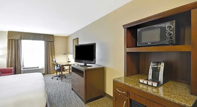 Люкс c 1 комнатой Hilton Garden Inn Sarasota-Bradenton Airport