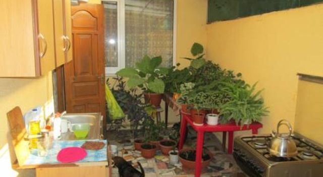 Guest House Veterok, Забронировать Гостевой дом Отели Адлера с парковкой, рядом с Plaza-City, Парковка