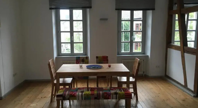 Апартаменты c 1 комнатой Kaiserslautern Apartment