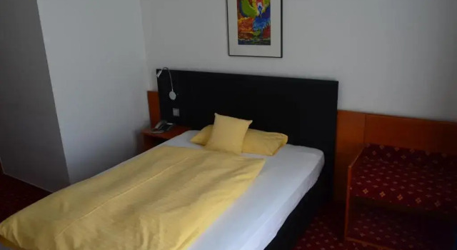 Одноместный номер Economy Hotel Schwert