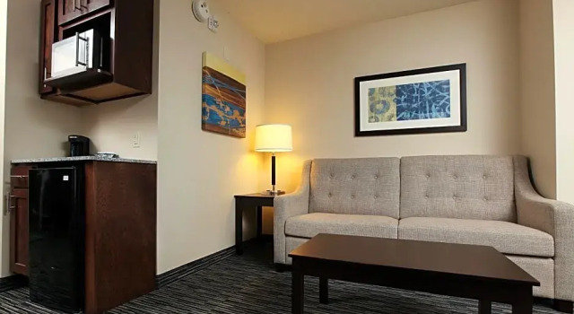 Двухместная студия Holiday Inn Express & Suites Omaha South Ralston Arena by IHG