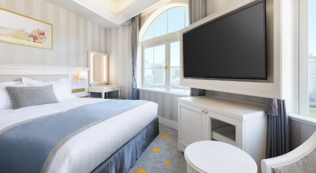 Двухместный номер Standard Takarazuka Hotel