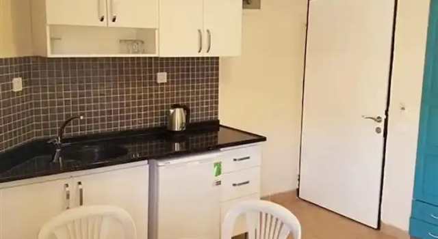 Апартаменты c 1 комнатой с балконом Selenya Apart Hotel