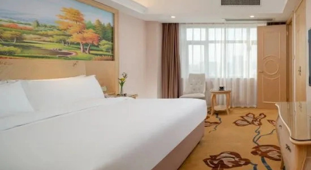 Люкс Deluxe Vienna Classic Hotel (Jieyang Huilai Kuihe Avenue Longjiang)