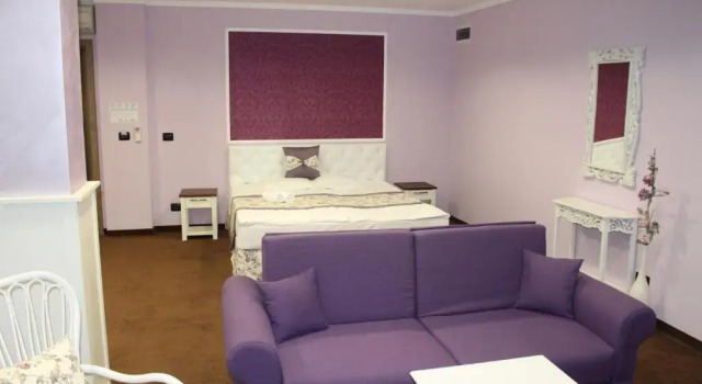 Студия Regina Maria Spa Design Hotel