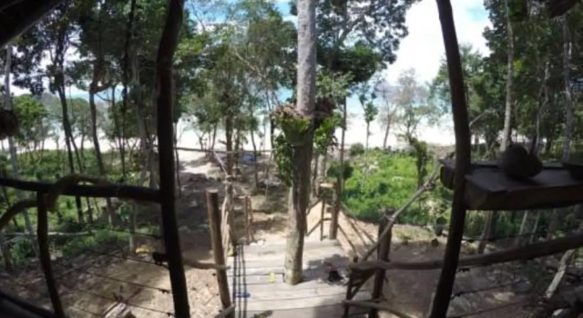 Кровать в общем номере Driftwood Hostel and Bungalows