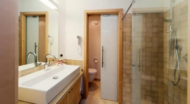 Полулюкс с видом на горы Hotel Ladinia