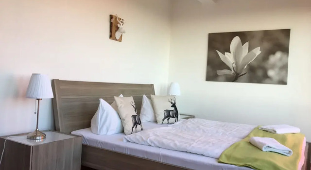 Номер Economy Harmonie Hotel Rust