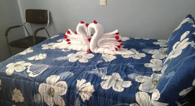 Кровать в общем номере Chester View Homestay