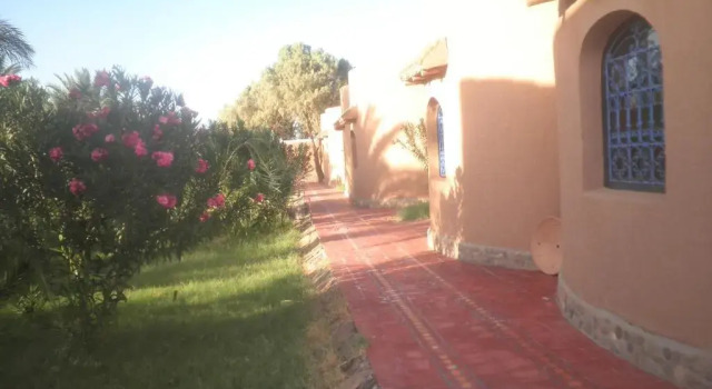 Трёхместный номер Standard Hotel Camping Hamada du Draa