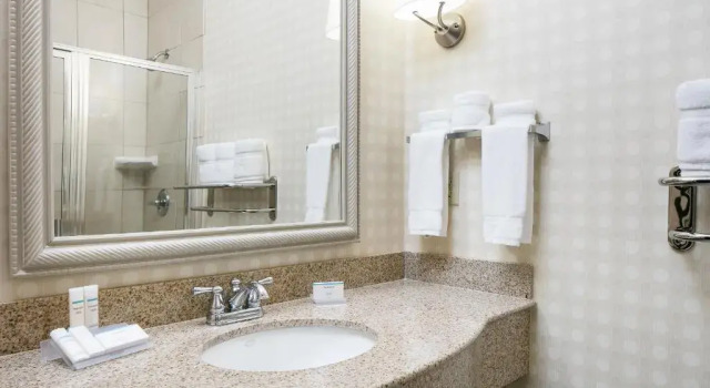 Люкс Hilton Garden Inn Omaha West