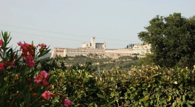 Il Podere del Falco