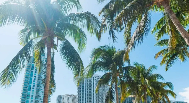 Upper East Side Renovated Studio Free Parking, Забронировать Апартаменты/квартира Апартаменты Miami Metropolitan Area, Апартаменты/квартира