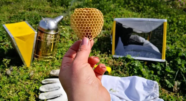 La Fattoria Barbini, Book Hotel Hoteller i Lake Vico med parkering, Parkering