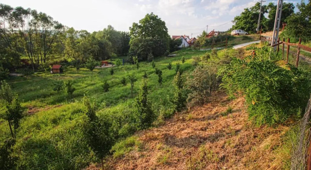 Farkaskő Vendégház