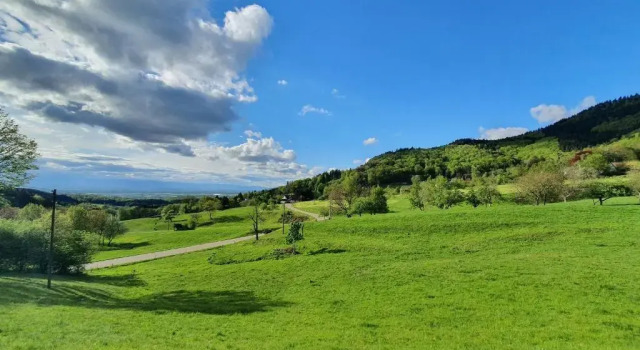 Апартаменты Ferienwohnung Am Musbach in Badenweiler-Sehringen