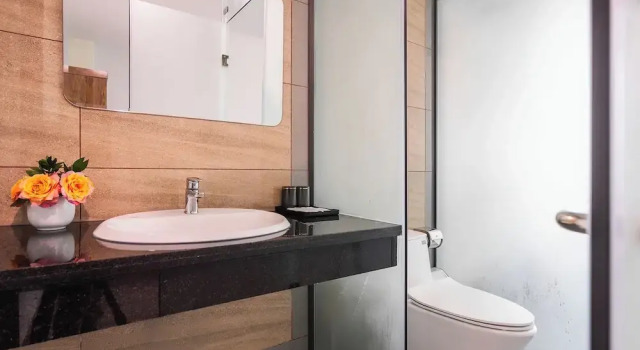 Двухместный номер Superior Greenview City Hotel