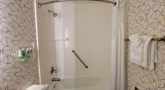 Двухместный номер Standard с видом на горы Holiday Inn Asheville East-Blue Ridge Pkwy by IHG