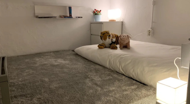 Одноместный номер Economy I House Chinchin