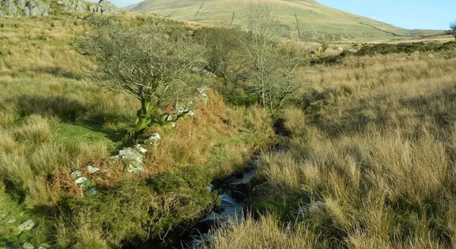 The Barn At Cae'R Fadog Isaf, Prenota Casa vacanze Llanfihangel-y-pennant Gwynedd