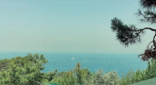 Номер Standard Rocas Roja Beach Hotel